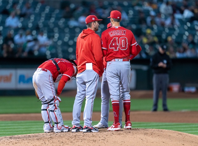 Matt Wise, Steve Cishek, Kurt Suzuki, 2021 Season