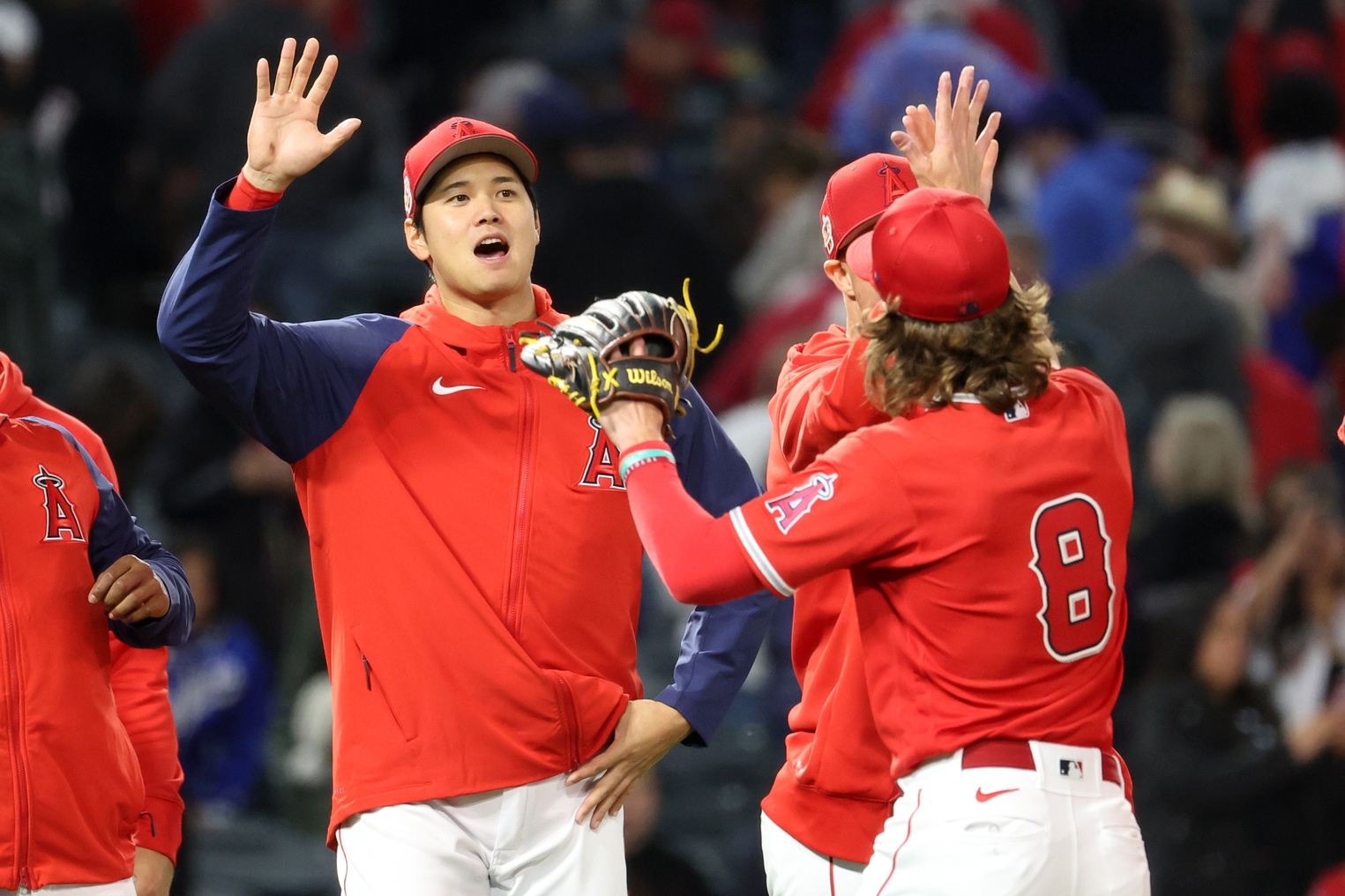 MLB: Spring Training-Los Angeles Dodgers at Los Angeles Angels