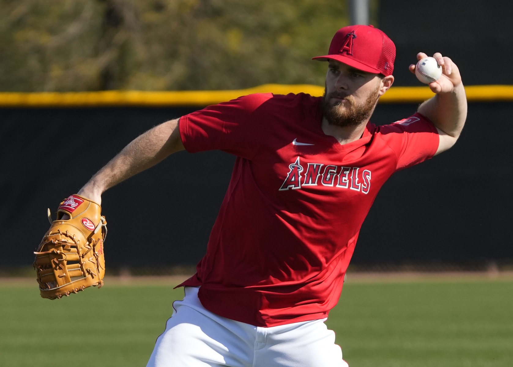 MLB: Spring Training-Los Angeles Angels Workouts