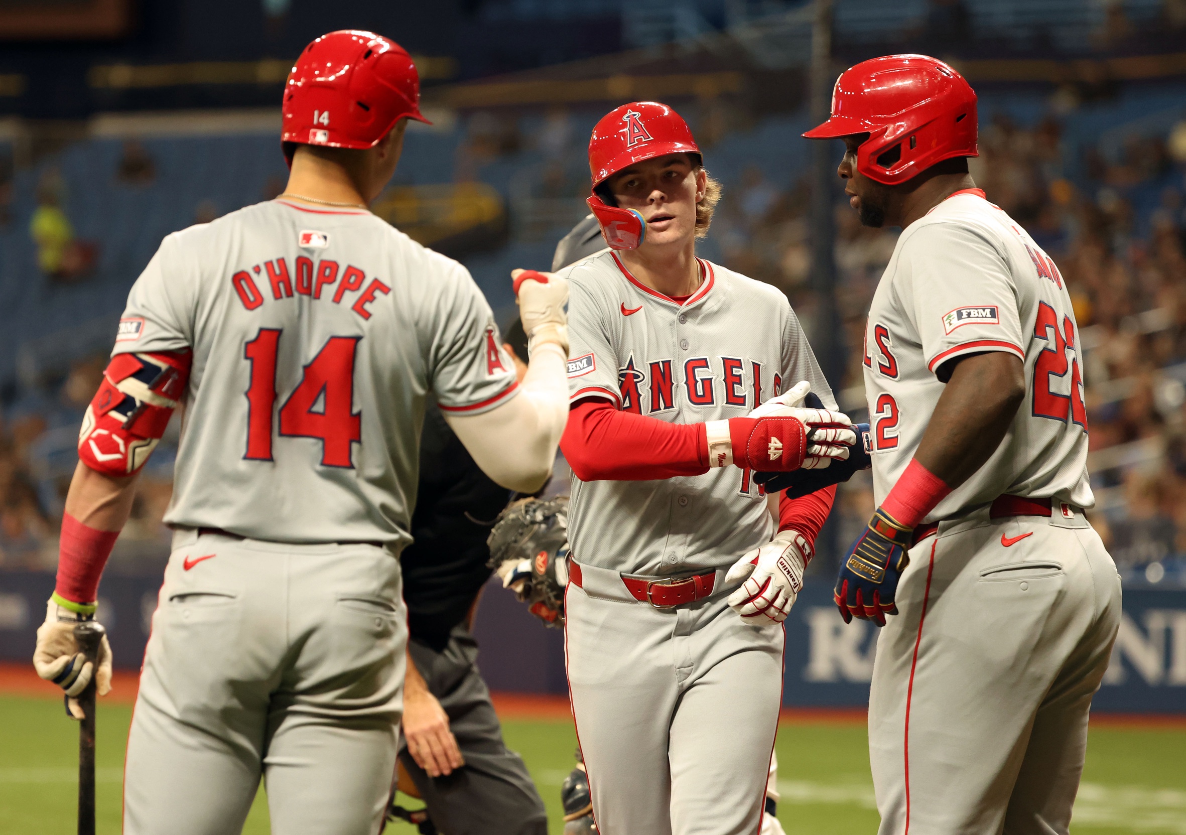 MLB: Los Angeles Angels at Tampa Bay Rays