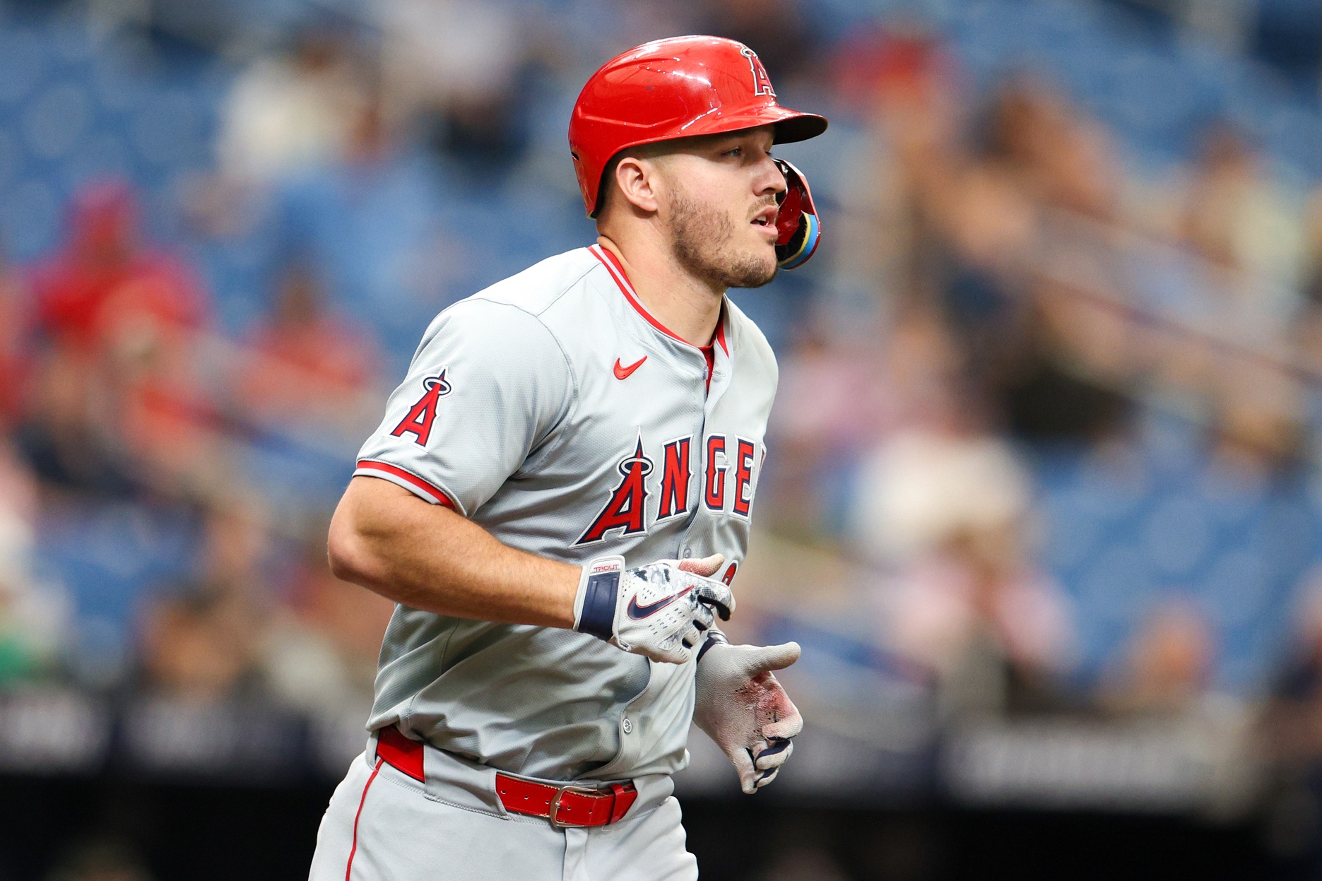 MLB: Los Angeles Angels at Tampa Bay Rays